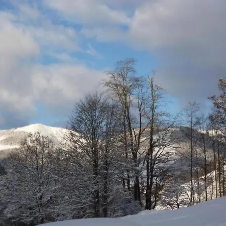 In Near Lift & Sauna سالباخ هينترغليم