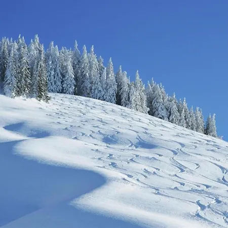 In Near Lift & Sauna سالباخ هينترغليم