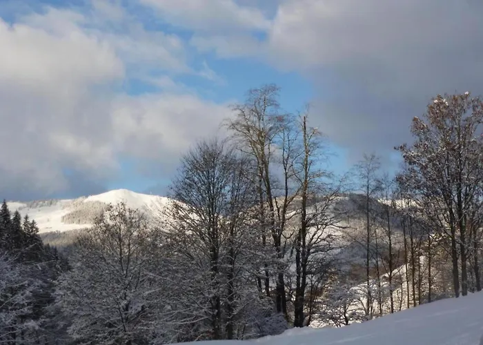 In Near Lift & Sauna 잘바흐 힌터글렘